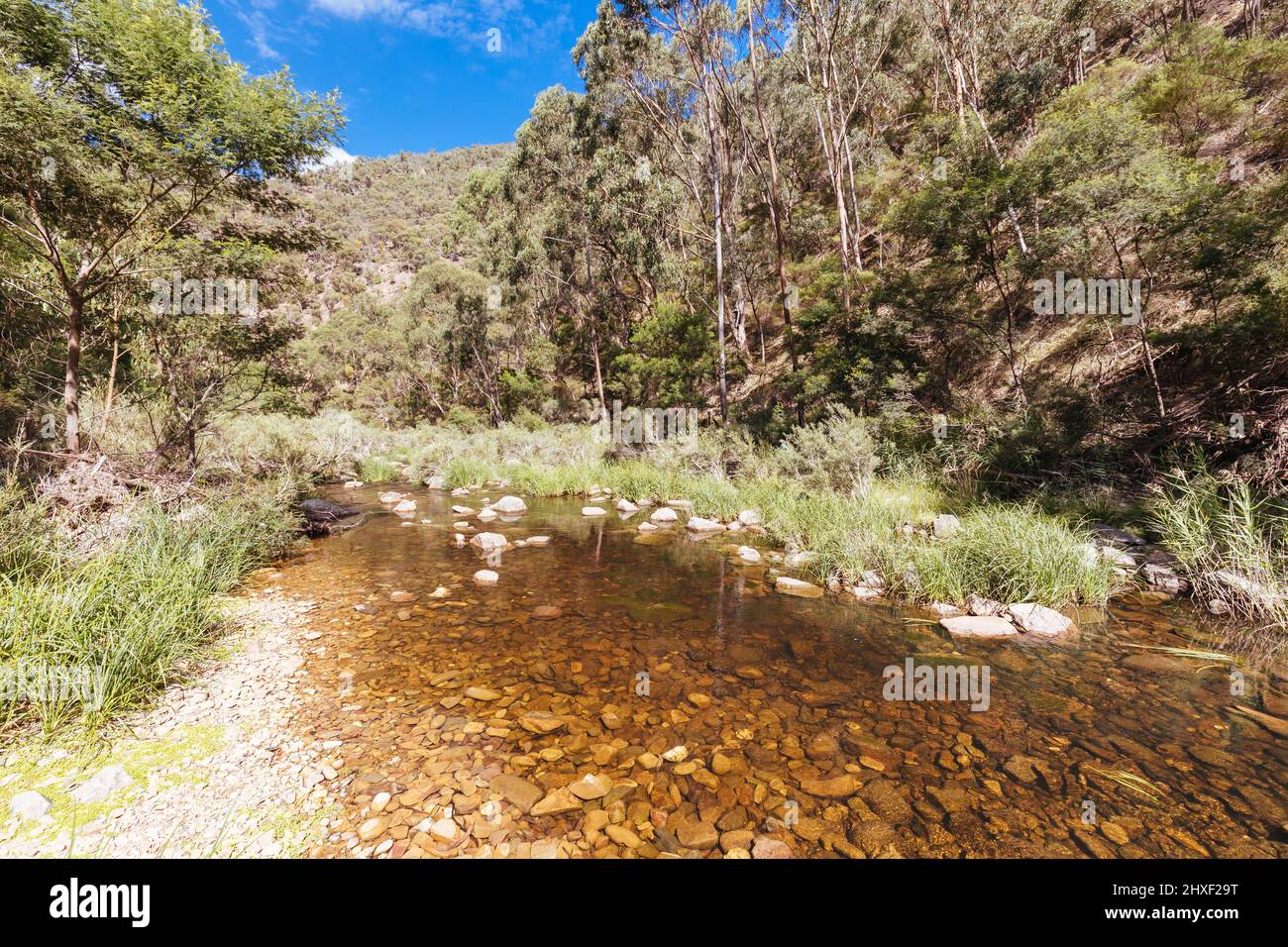 Promenade dans le circuit de la gorge de Lerderg à Melbourne en Australie Banque D'Images