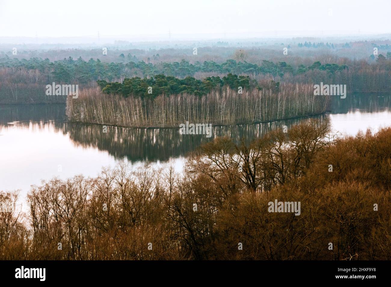 Plateau des six lacs à Duisburg-Wedau, île sur le Haubachsee Banque D'Images