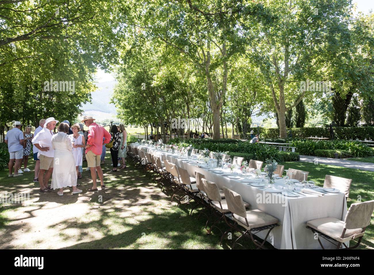 Les jardins du domaine viticole de la Grand Provence Banque D'Images