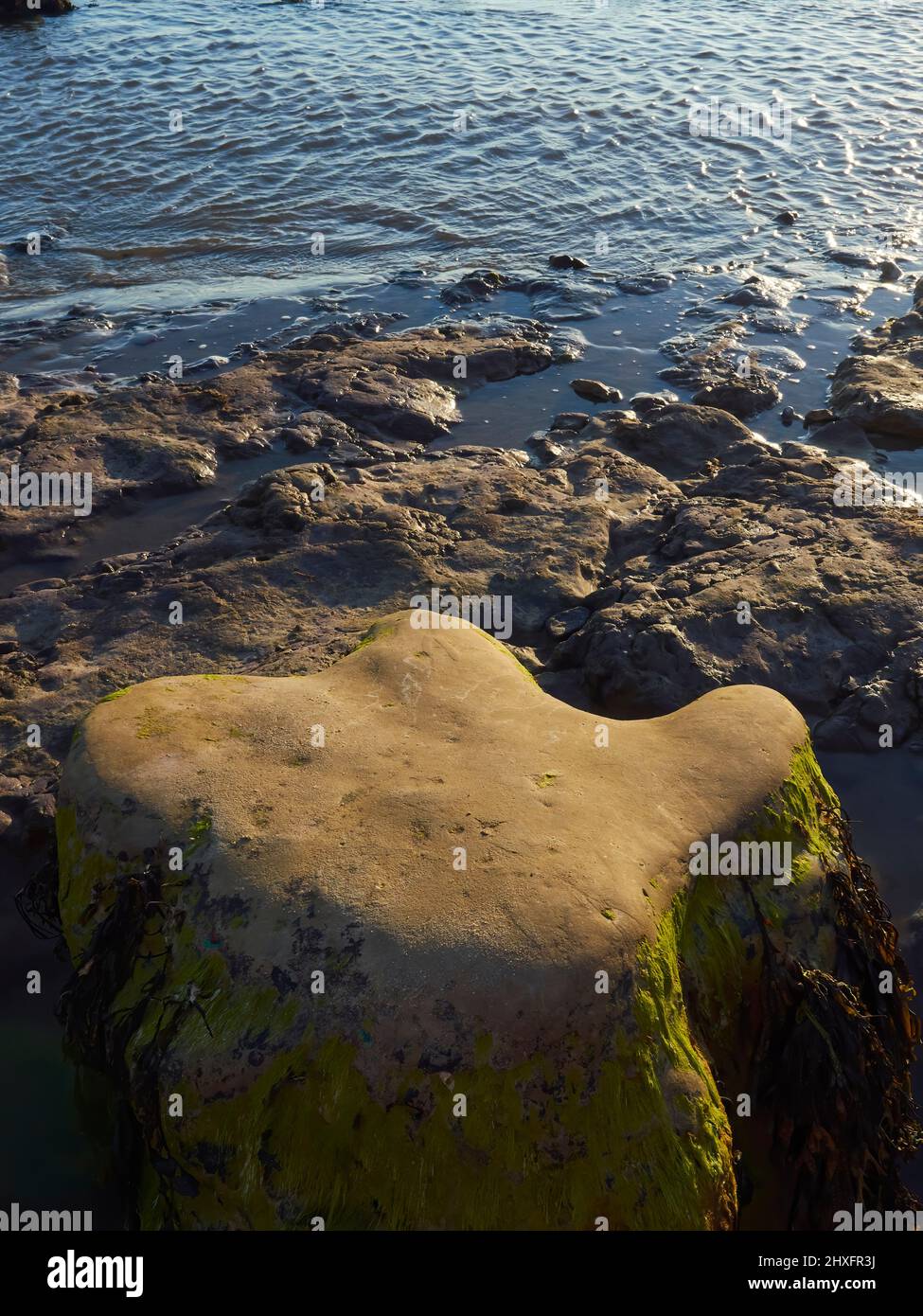 L'empreinte à trois doigts d'un dinosaure, fossilisé puis révélé sur la plage de Compton Bay, dans une lumière chaude et inclinée d'un soleil couchant. Banque D'Images
