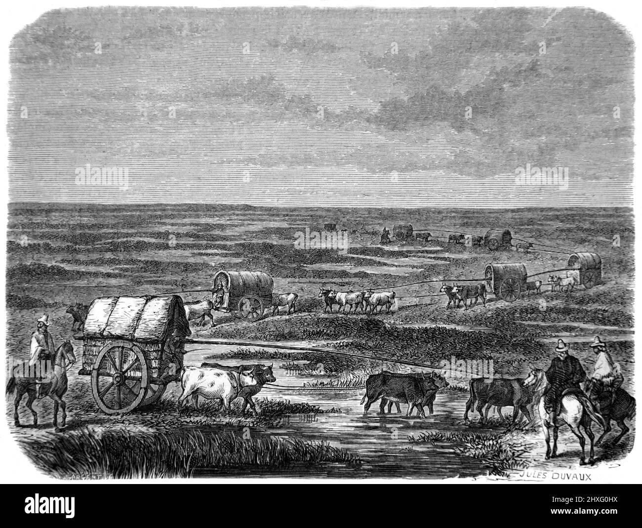Chariots Bullock, chariots Ox, chariot Ox ou train de chariot Oxen traversant les Pampas en Amérique du Sud. Illustration ancienne ou gravure 1860. Banque D'Images