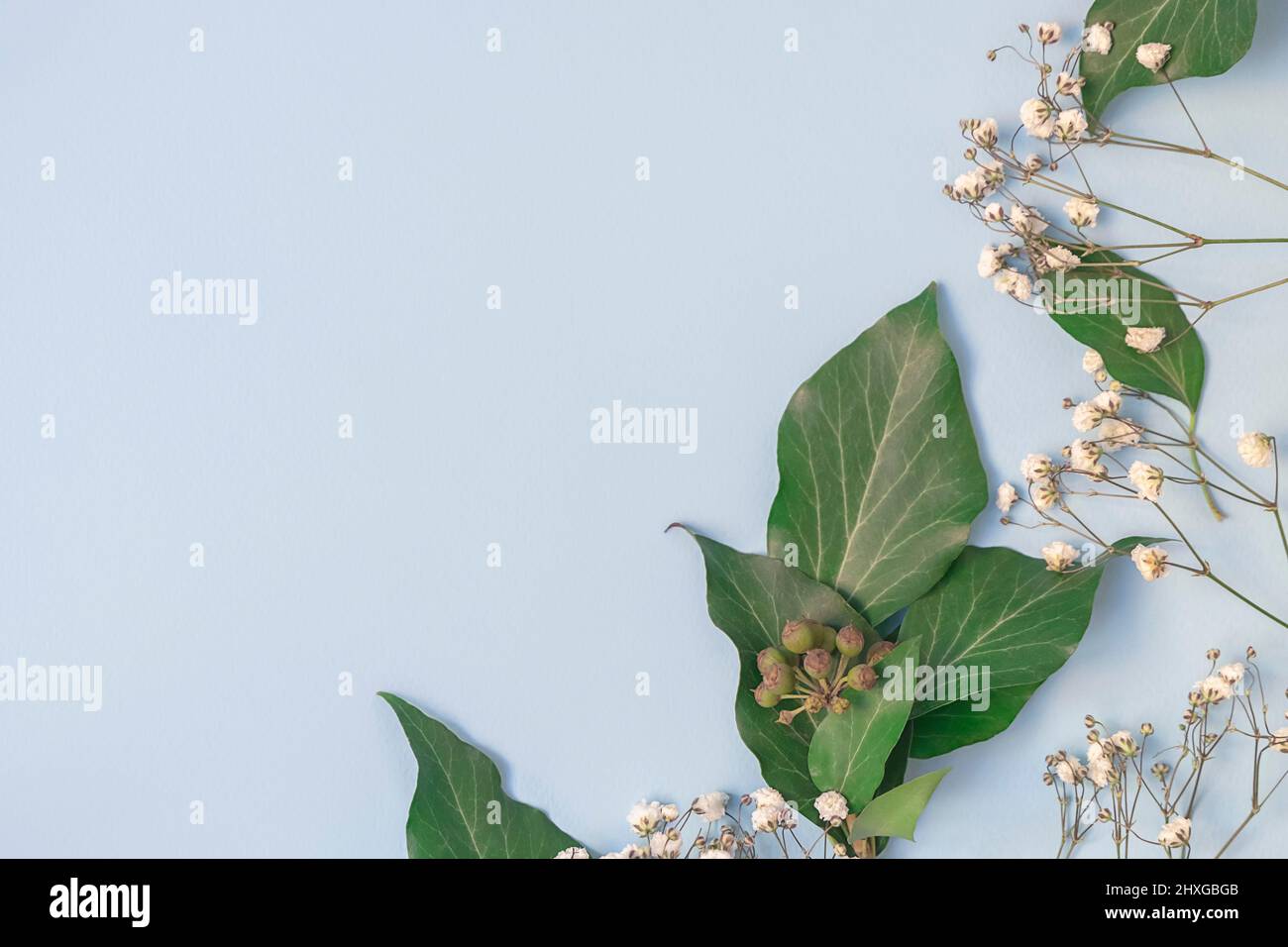 Vue de dessus d'un fond floral avec des feuilles vertes fraîches sur un fond bleu pastel, espace de copie Banque D'Images