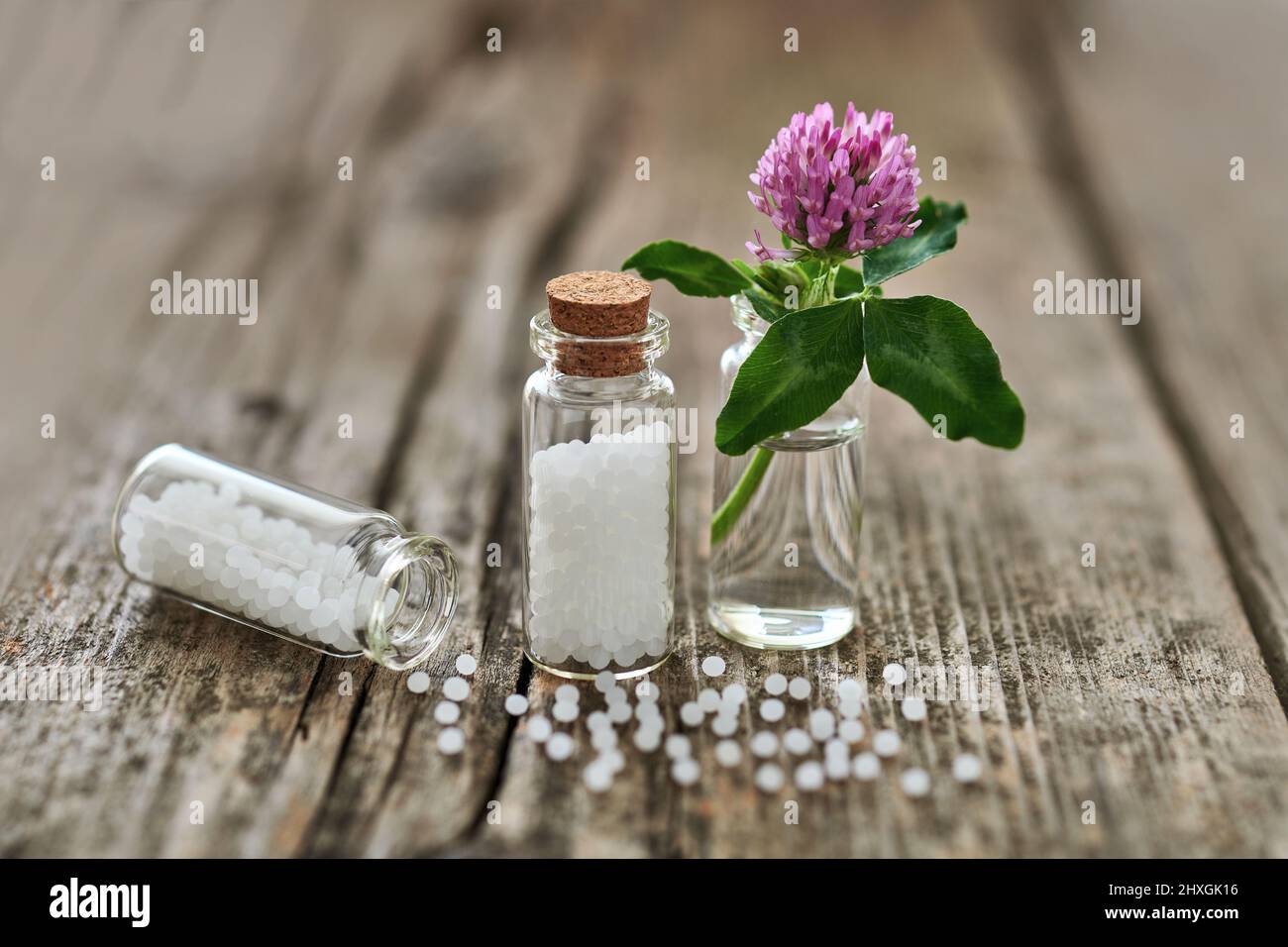 Granules homéopathiques dans de petits flacons en verre, quelques granules dispersés sur l'ancienne table en bois et une petite fleur. Banque D'Images