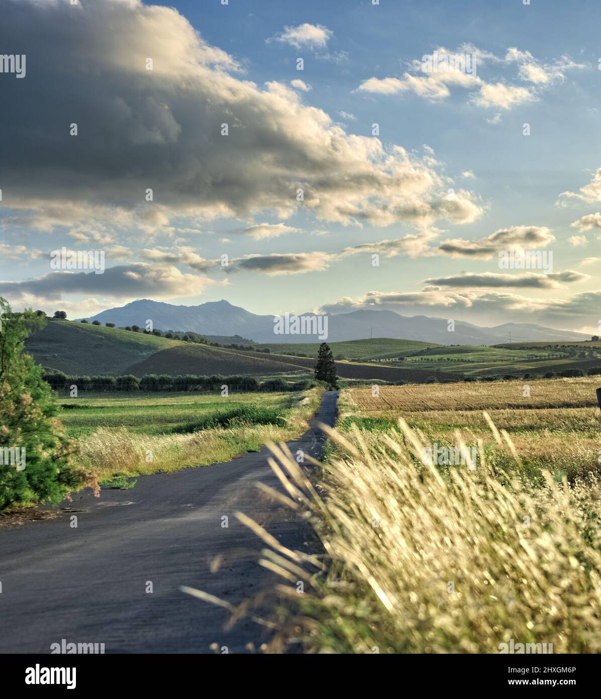 la route droite traverse le paysage rural au coucher du soleil Banque D'Images