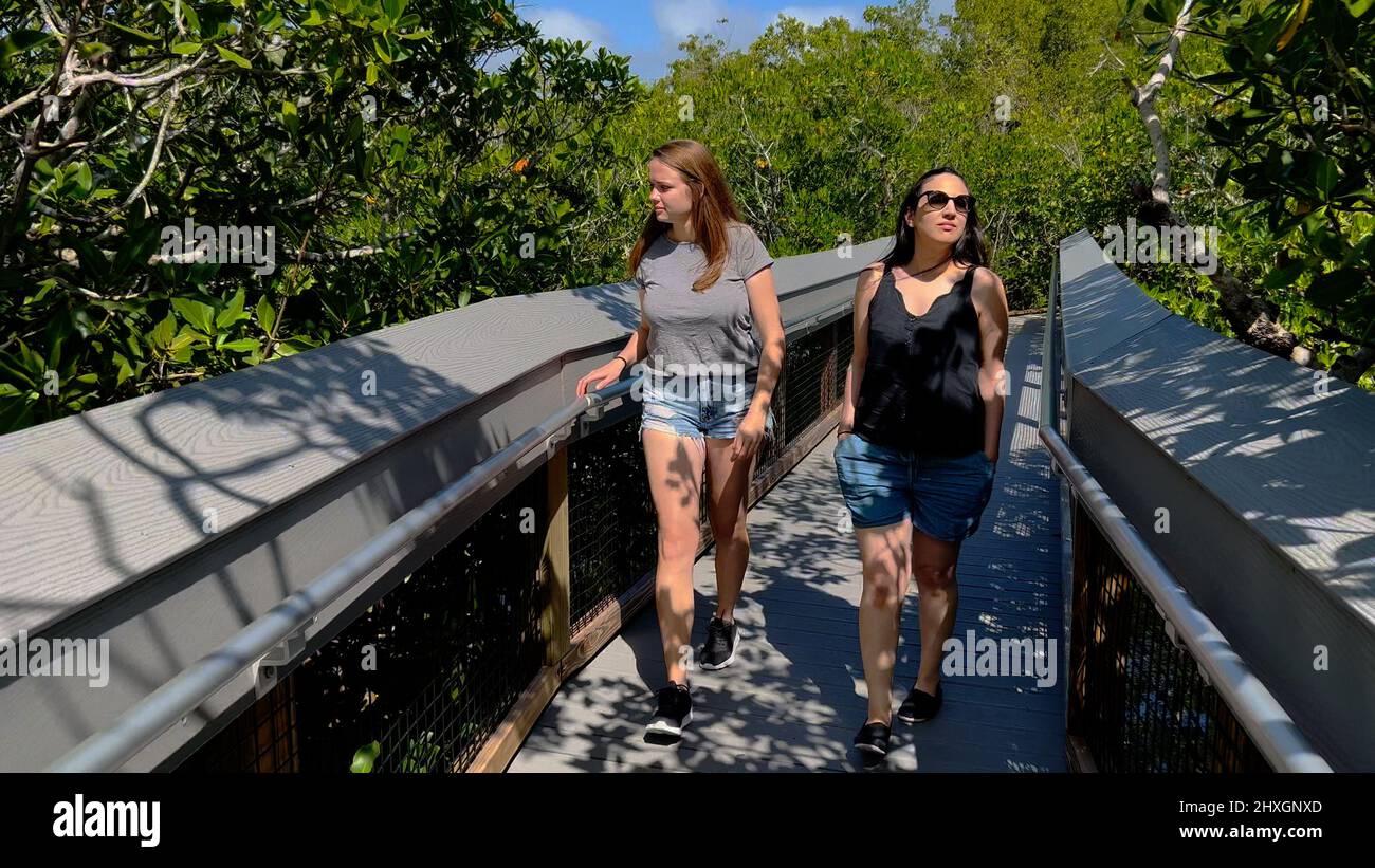 Groupe de personnes visite une forêt de mangroves en Floride Banque D'Images