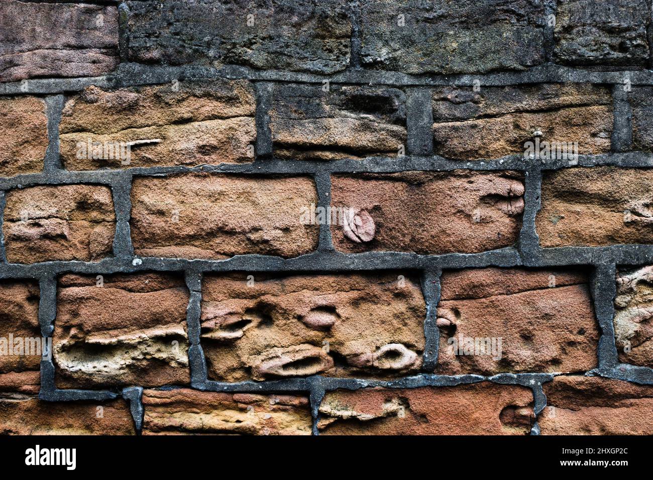 Image d'un mur de briques, pièce par pièce, brique par brique, mur, solide, Sécurisé, obstacle, arrière-plan de mur de briques, Bricks colorés, défini Banque D'Images