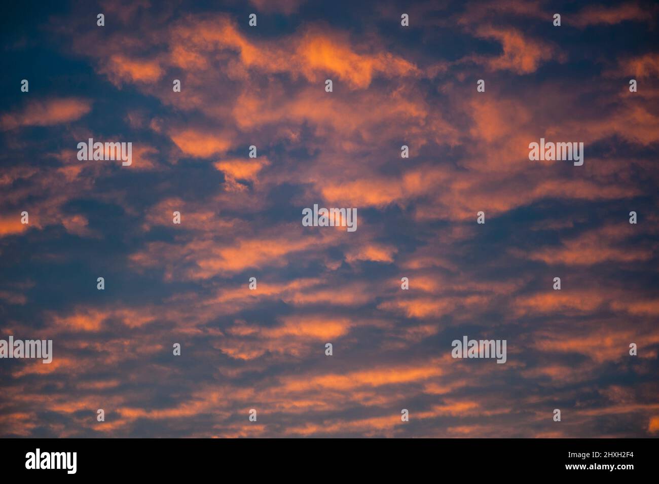 Altocumulus perlucidus avec un ciel spectaculaire au coucher du soleil Banque D'Images