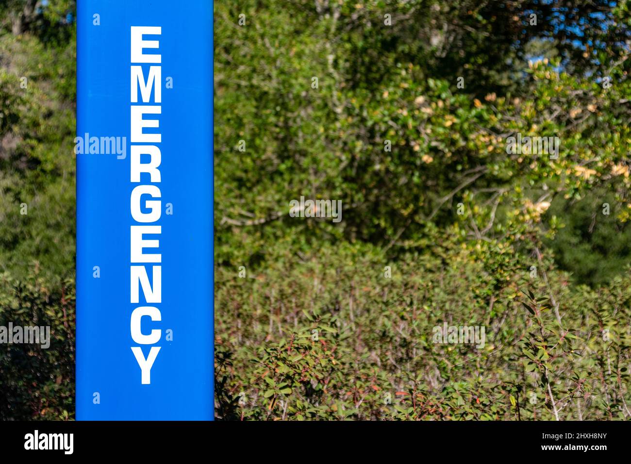 Panneau d'urgence sur téléphone bleu clair et système d'alarme, la boîte d'appel est un symbole de sécurité dans le parc de la ville, le siège social ou le campus de l'hôpital, sur les terrains scolaires. Banque D'Images