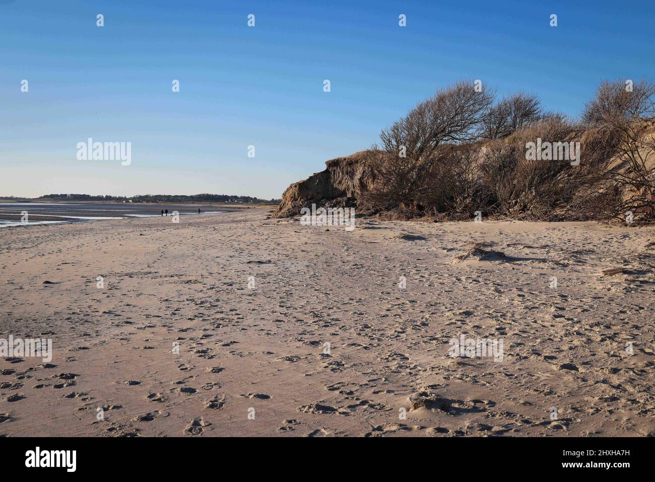 03 Mars 2022, Schleswig-Holstein, Nieblum: La terre arable peut être vue derrière les dunes de sable délavées sur la plage entre Gotinger Cliff et FKK Beach sur l'île de la mer du Nord de Föhr. Les bas de l'ouragan 'Nadja' et 'Zeynep' ont causé d'importants dommages à la plage et des effondrements de dunes sur les îles de la Frise du Nord et de la Frise orientale. Après les violentes tempêtes hivernales avec des montées de tempête en partie lourdes, de nombreuses îles allemandes de la mer du Nord s'attendent à des coûts considérables, par exemple, pour reconstruire des plages qui ont été délavées et pour renouveler les infrastructures touristiques. (À dpa, les îles attendent des coûts partiellement élevés pour le nouveau b Banque D'Images