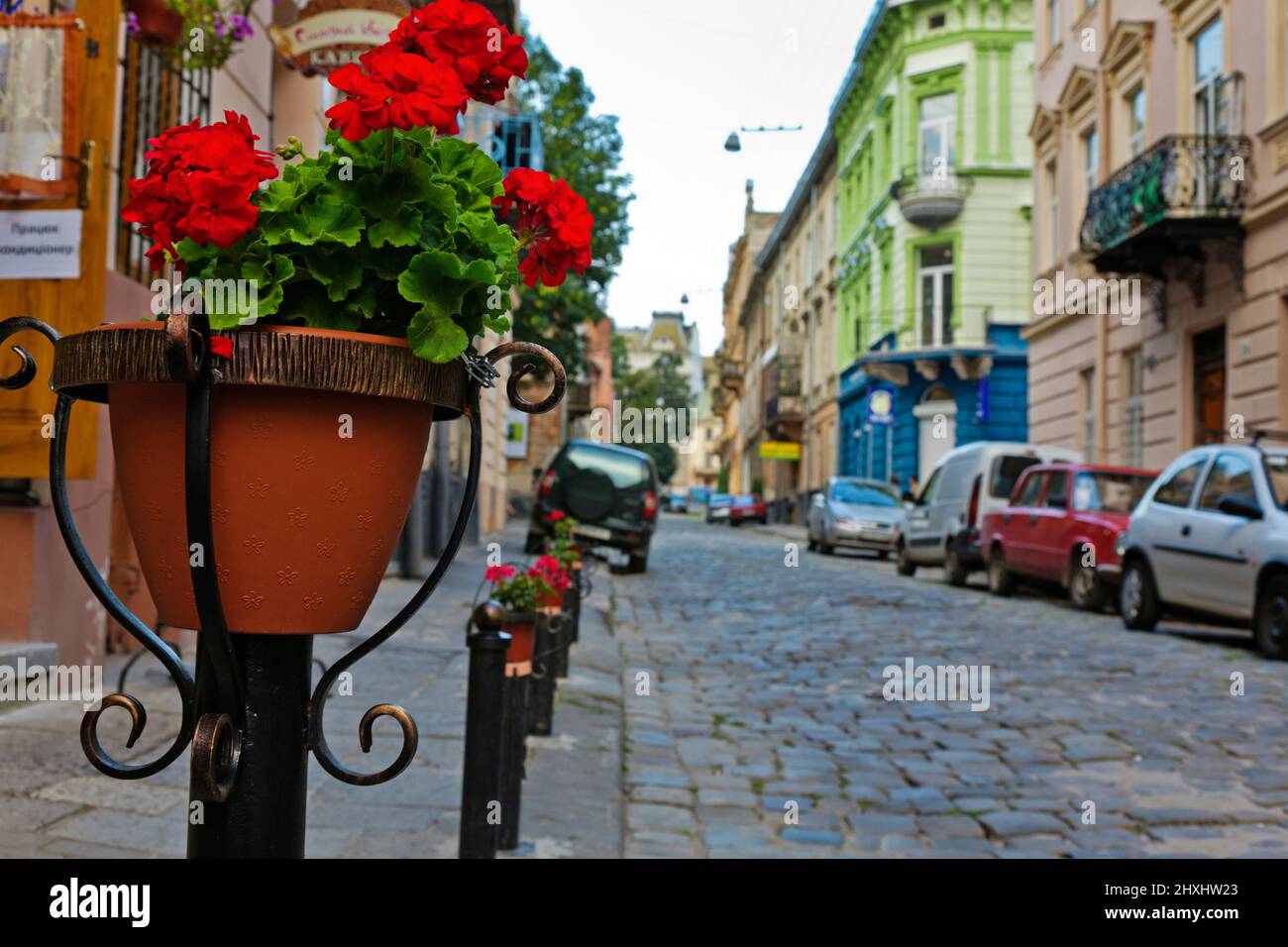 Bâtiments et parking dans la rue pavée résidentielle, Lviv, Ukraine Banque D'Images