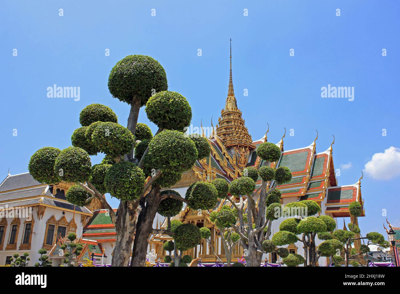 Topiaire ball Tree au Grand Palace, Bangkok, Thaïlande Banque D'Images