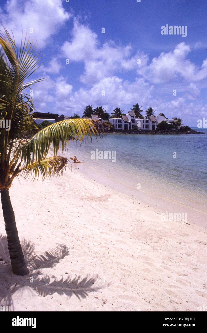 ILE MAURICE Grand Bay cococotier palmier plage Banque D'Images