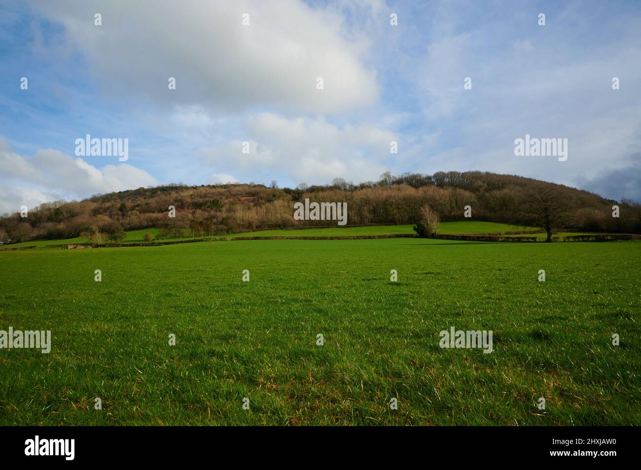 vue sur le champ vert dans la campagne britannique jusqu'au sommet d'une colline avec des arbres et du bois sous le ciel bleu avec des nuages Banque D'Images