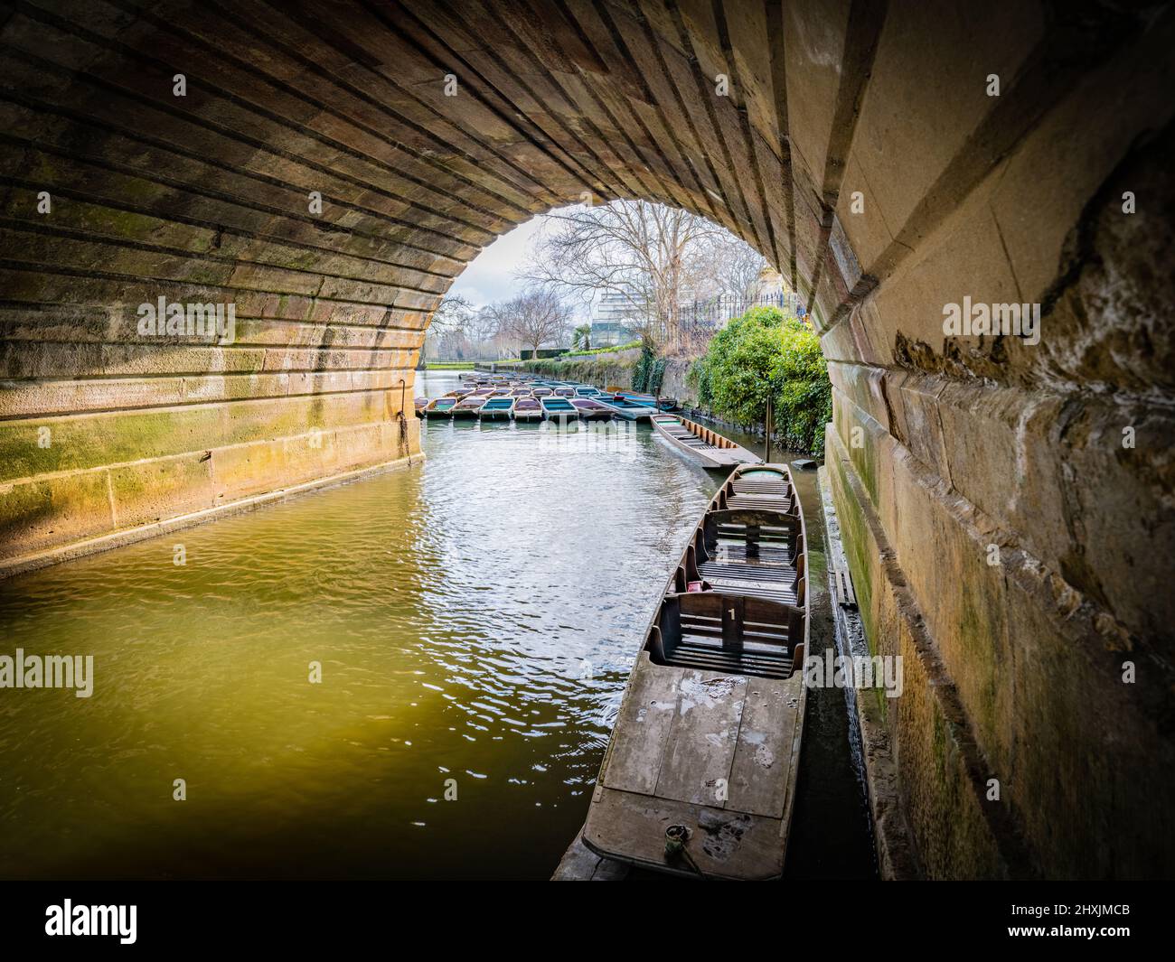 Oxford Punting, une entreprise d'Oxford qui offre l'expérience traditionnelle de punting le long de la rivière Cherwell. La rivière Cherwell est un affluent de t. Banque D'Images