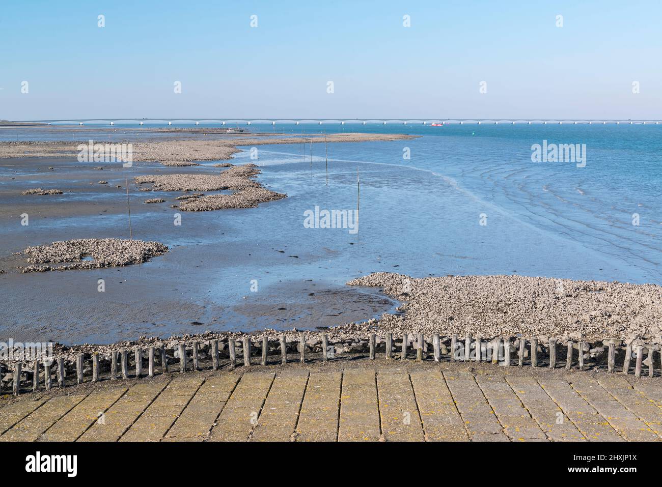 Mudplats et bancs d'huîtres à marée basse . Pont Zeeland en arrière-plan. Noord-Beveland, Zélande, pays-Bas Banque D'Images