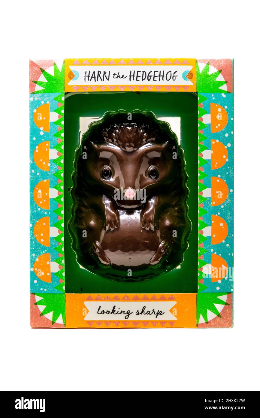 M&S Harri The Chocolate Hedgehog Banque D'Images