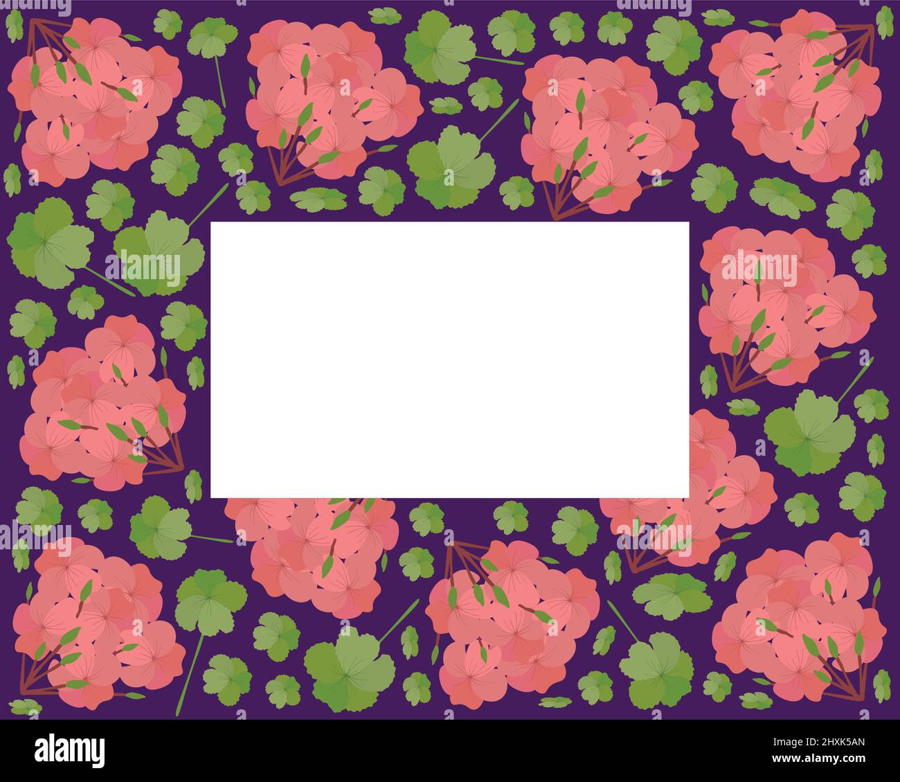 Belle fleur, cadre d'illustration de belles fleurs de géranium rouge ou fleurs de pélargonium Graveolens. Illustration de Vecteur