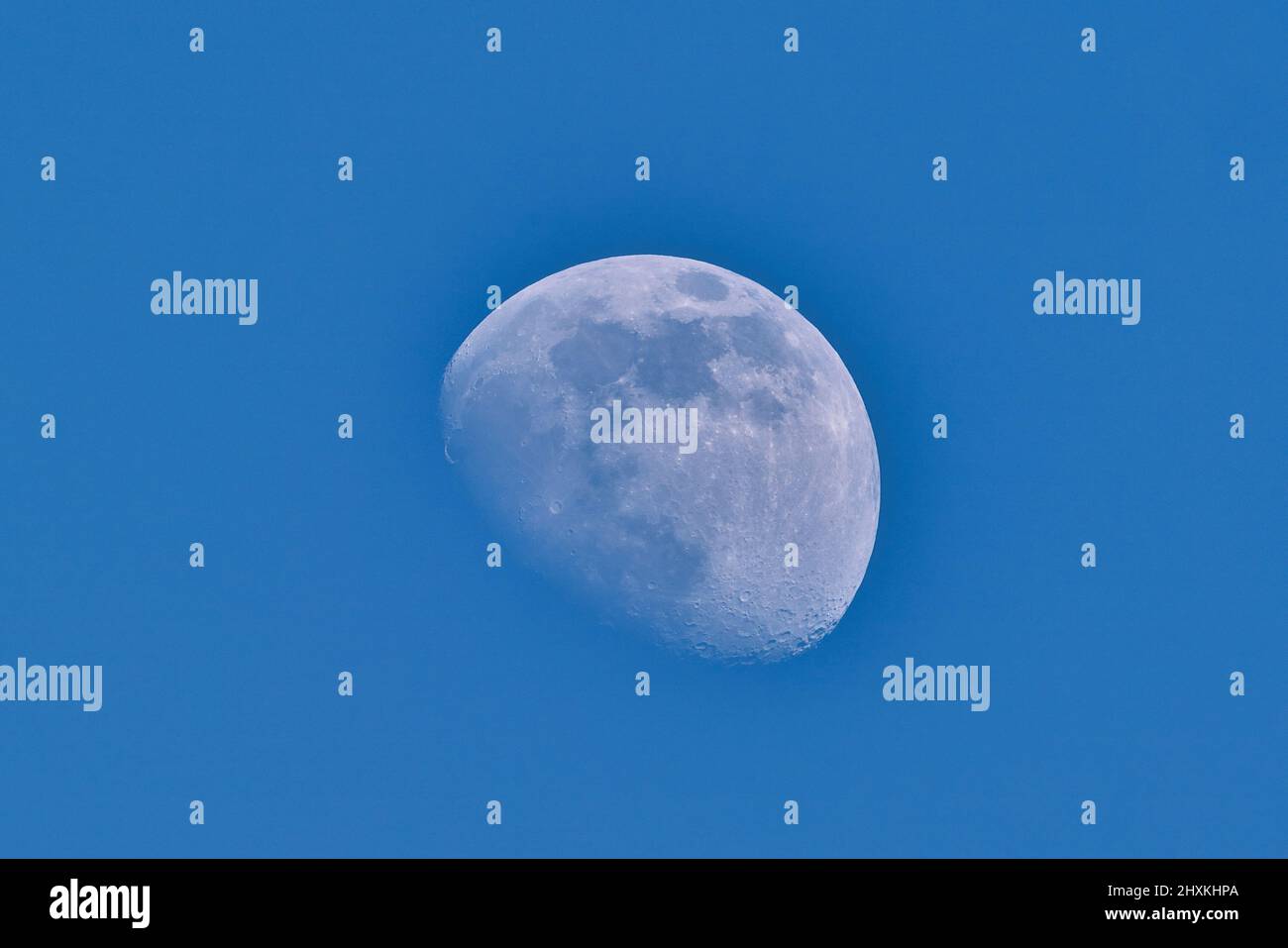 La lune déclinante au début de la matinée au printemps Banque D'Images