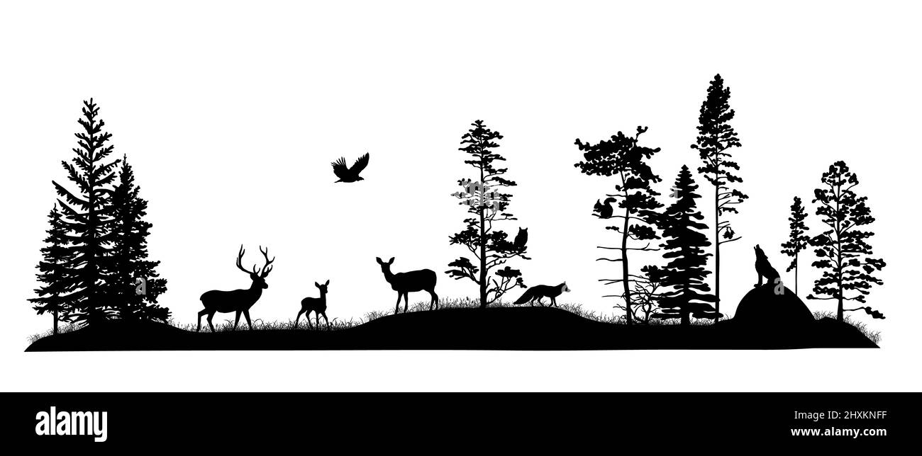 Ensemble de silhouettes d'arbres et d'animaux sauvages de la forêt. Cerf, fauve, doe, renard, loup, hibou, oiseau de prière, écureuil. Illustration à la main noire et blanche. Banque D'Images