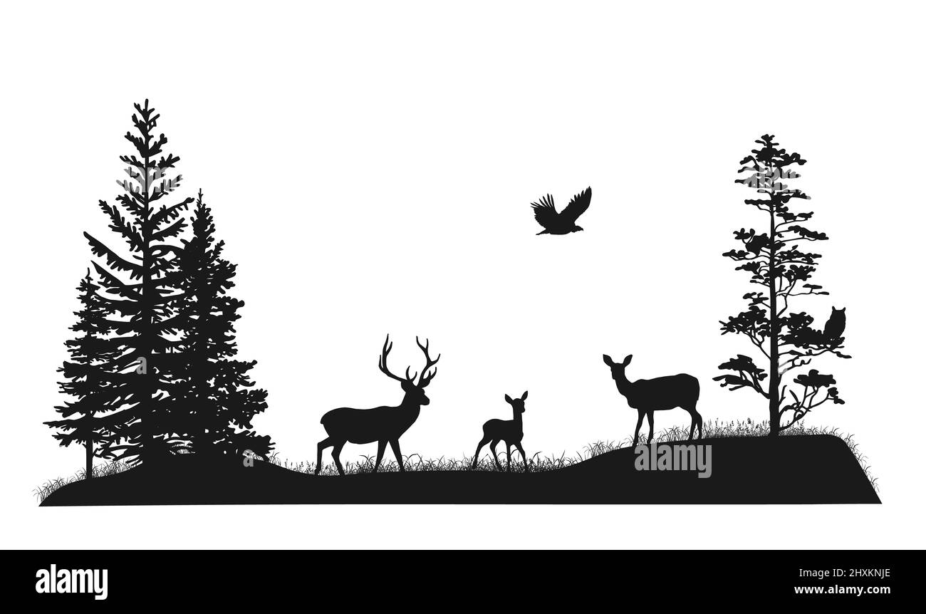 Ensemble de silhouettes d'arbres et d'animaux sauvages de la forêt. Cerf, fauve, doe, hibou, oiseau de prière. Illustration à la main noire et blanche. Banque D'Images