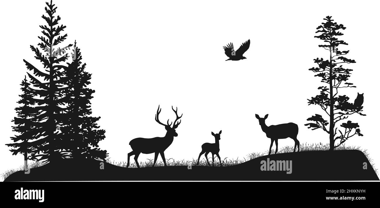 Ensemble de silhouettes d'arbres et d'animaux sauvages de la forêt. Cerf, fauve, doe, hibou, oiseau de prière. Illustration à la main noire et blanche. Illustration de Vecteur