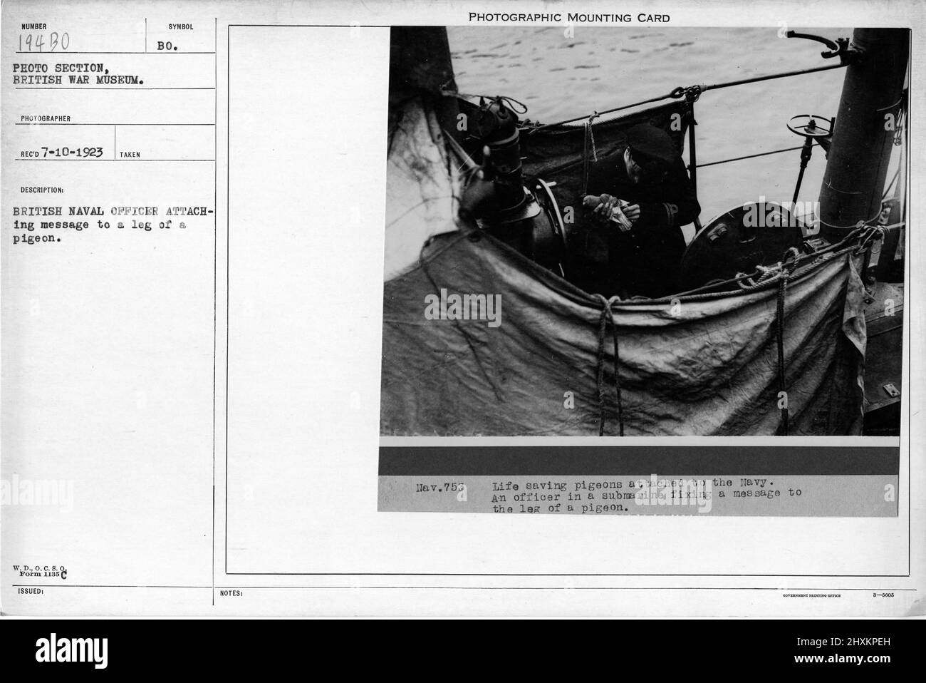 Officier de la marine britannique attachant un message à une jambe d'un pigeon. Collection de photographies de la première Guerre mondiale, 1914-1918 qui décrivent les activités militaires des forces armées et du personnel britanniques et d'autres nations pendant la première Guerre mondiale Banque D'Images Officier de la marine britannique attachant un message à une jambe d'un pigeon. Collection de photographies de la première Guerre mondiale, 1914-1918 qui décrivent les activités militaires des forces armées et du personnel britanniques et d'autres nations pendant la première Guerre mondiale Banque D'Images
