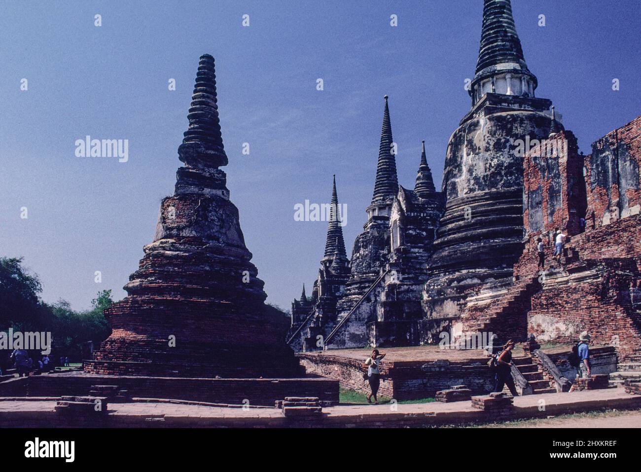 Autrefois recouvert d'or de feuilles, le Chedi du temple Wat Phra si Sanphet d'Ayutthaya est encore impressionnant. L'ancienne capitale de Siam a été conquise par une armée de Birmese en 1767, puis a été mise à sac et partiellement détruite. Il y a encore un sens de l'ancienne splendeur du grand temple. Banque D'Images
