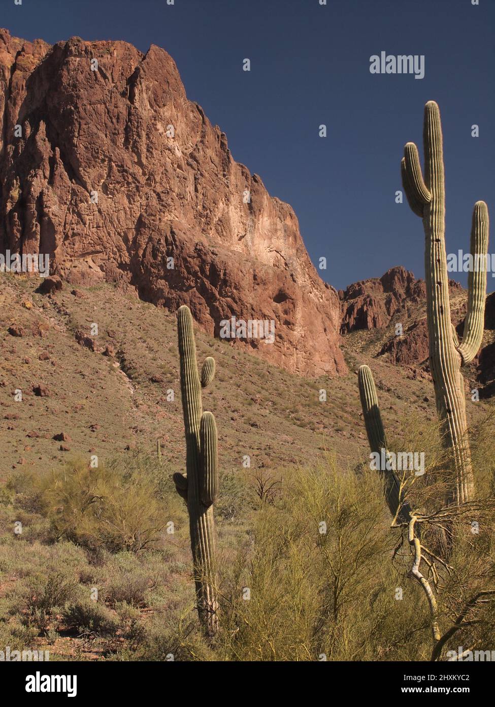 Images de coucher de soleil à Superstition Mountain en Arizona et dans les environs. Le soleil couchant baigne la zone dans des tons dorés de rouge. Banque D'Images