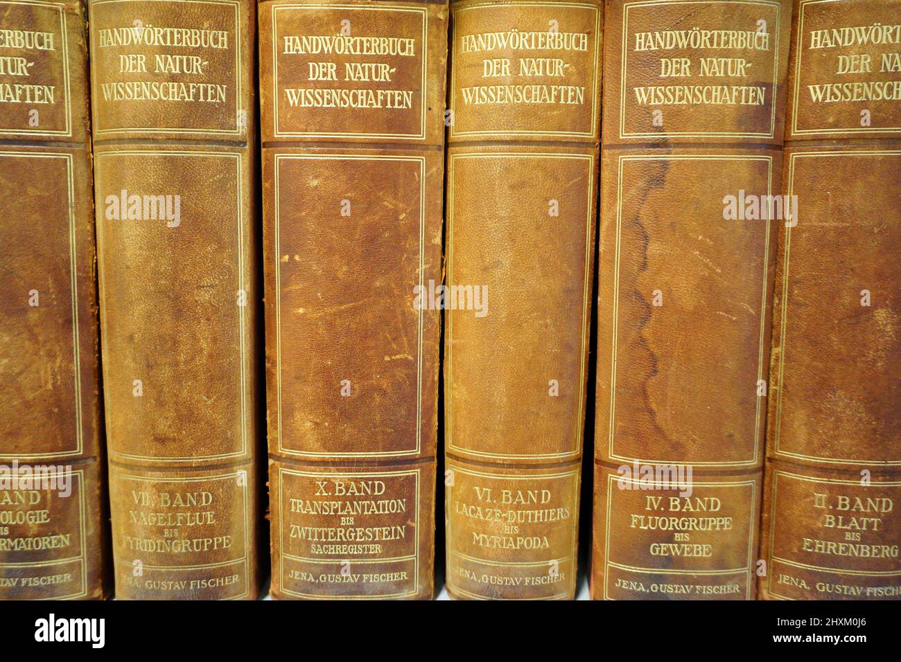 Plusieurs volumes du Dictionnaire des sciences naturelles (allemand: Handwörterbuch der Naturwissenschaften). Banque D'Images