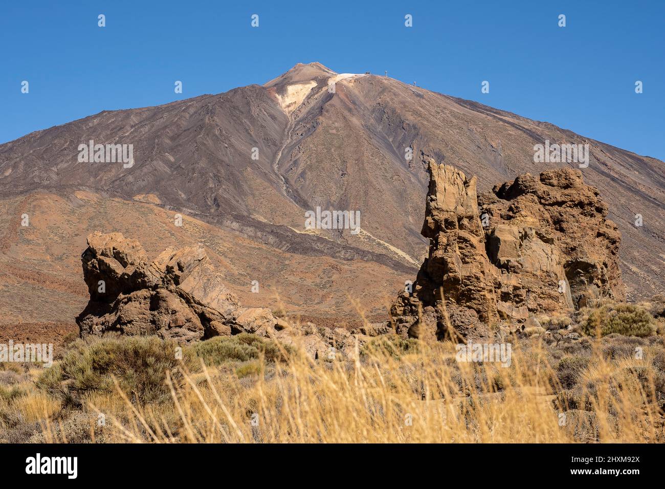 Teide, formations rocheuses volcaniques et végétation indigène, dans le parc national Teide, Tenerife, Iles Canaries, Espagne Banque D'Images