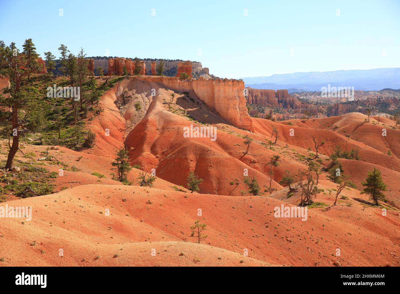 Bryce Canyon en été, Utah-États-Unis Banque D'Images