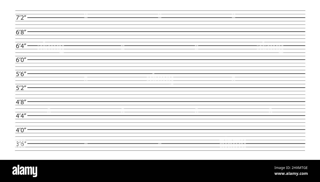 Arrière-plan de la police. Tableau de hauteur pour la photo de la personne arrêtée ou l'identification du suspect isolée sur fond blanc. Illustration vectorielle. Illustration de Vecteur