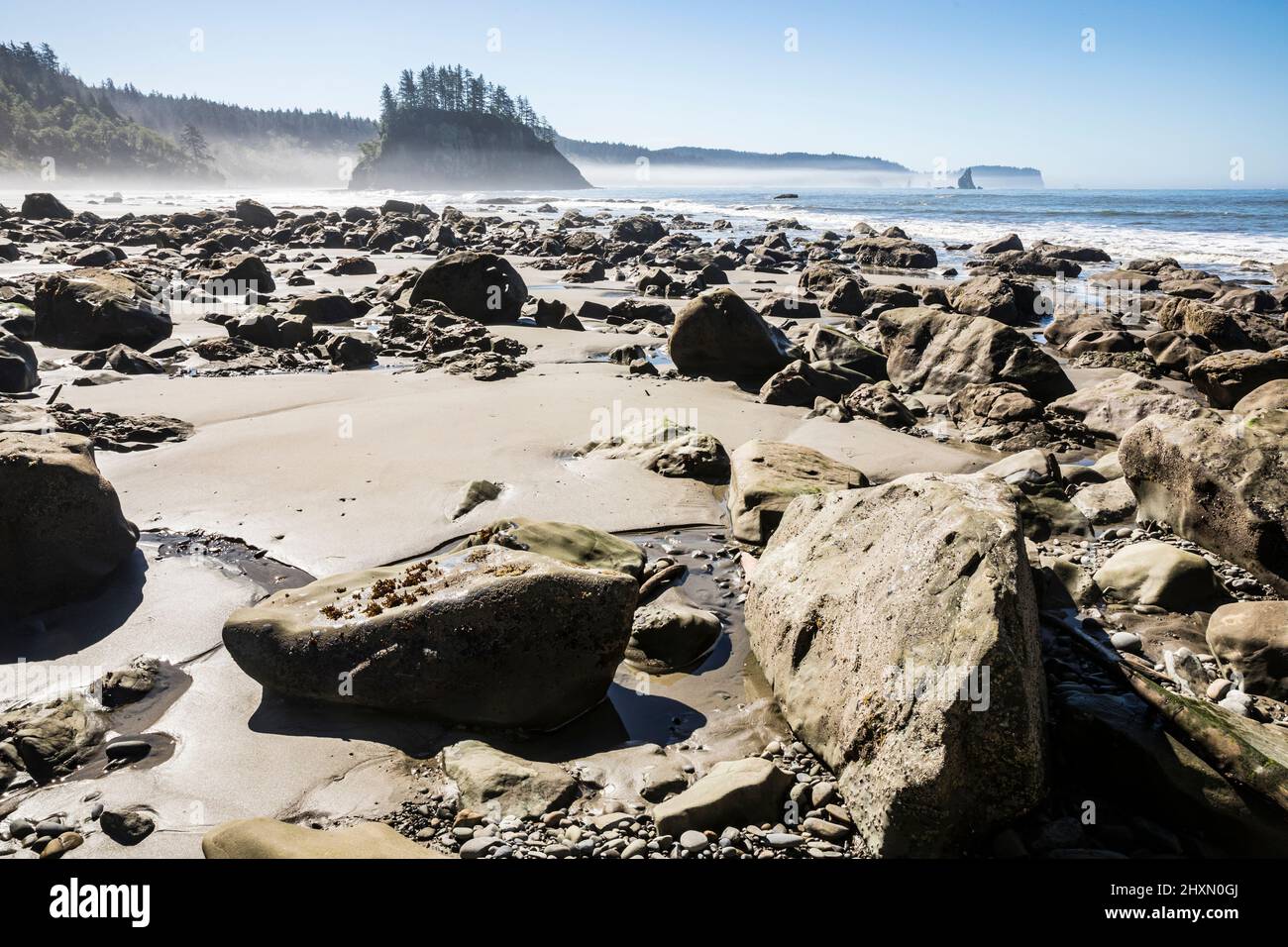 Vue vers le sud le long de la côte du parc national olympique et du sanctuaire marin, Washington, États-Unis. Banque D'Images