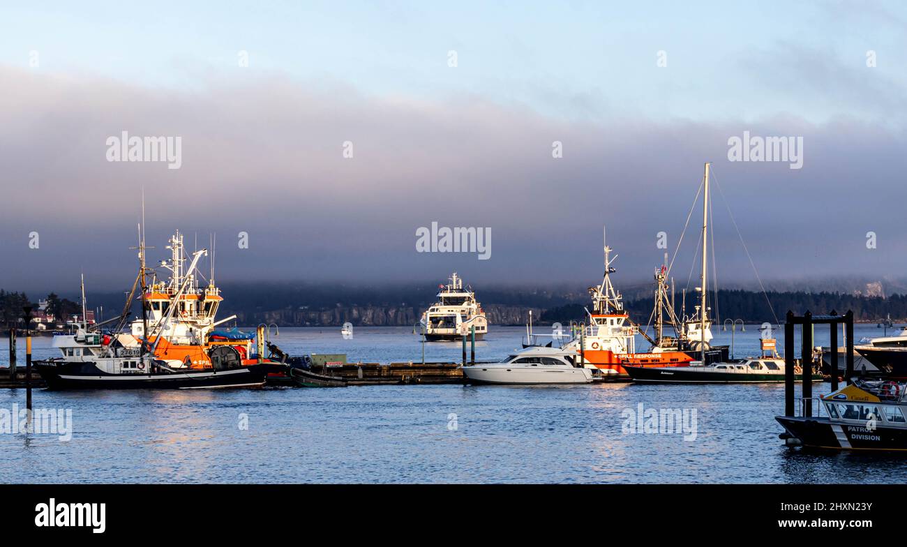 Port de Nanaimo, île de Vancouver, avec bateaux de travail, garde côtière, bateaux de pêche, voiliers, et un petit ferry. Lumière du soir avec banque de nuages basse. Banque D'Images