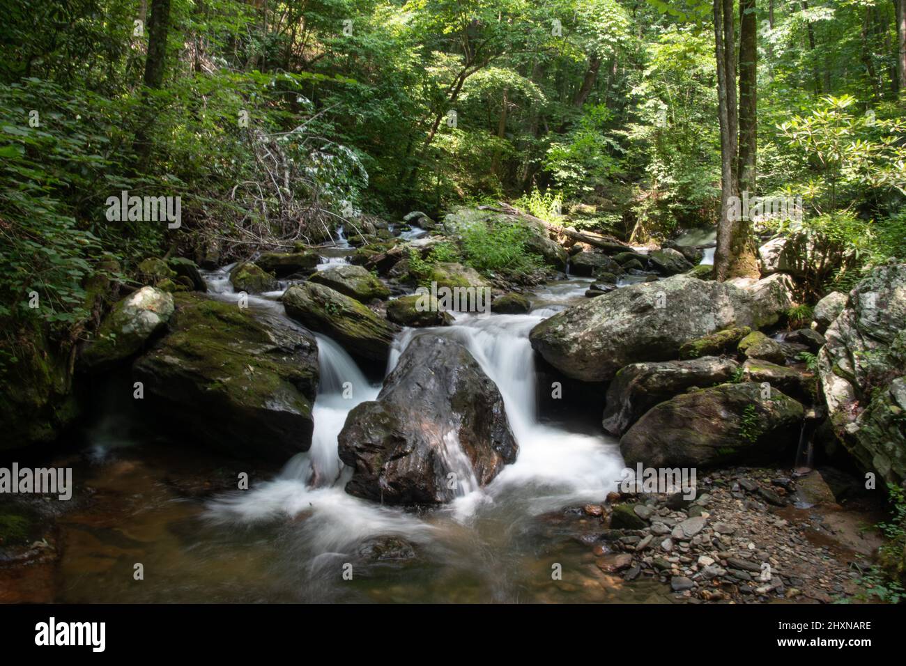 Chutes Anna Ruby situées dans le parc national Unicoi en Géorgie Banque D'Images