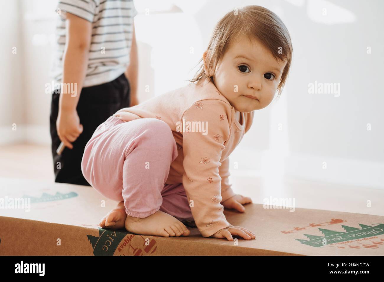 Portrait d'une petite fille debout sur la boîte en carton contenant l'arbre de Noël attendant impatiemment de voir ce qui se trouve à l'intérieur. Bébé assis Banque D'Images