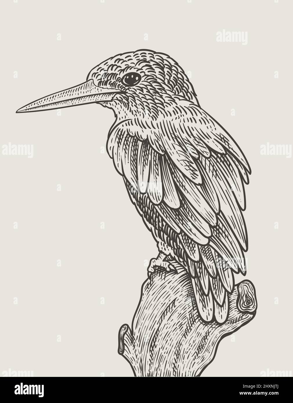 illustration vintage oiseau gravure style Illustration de Vecteur
