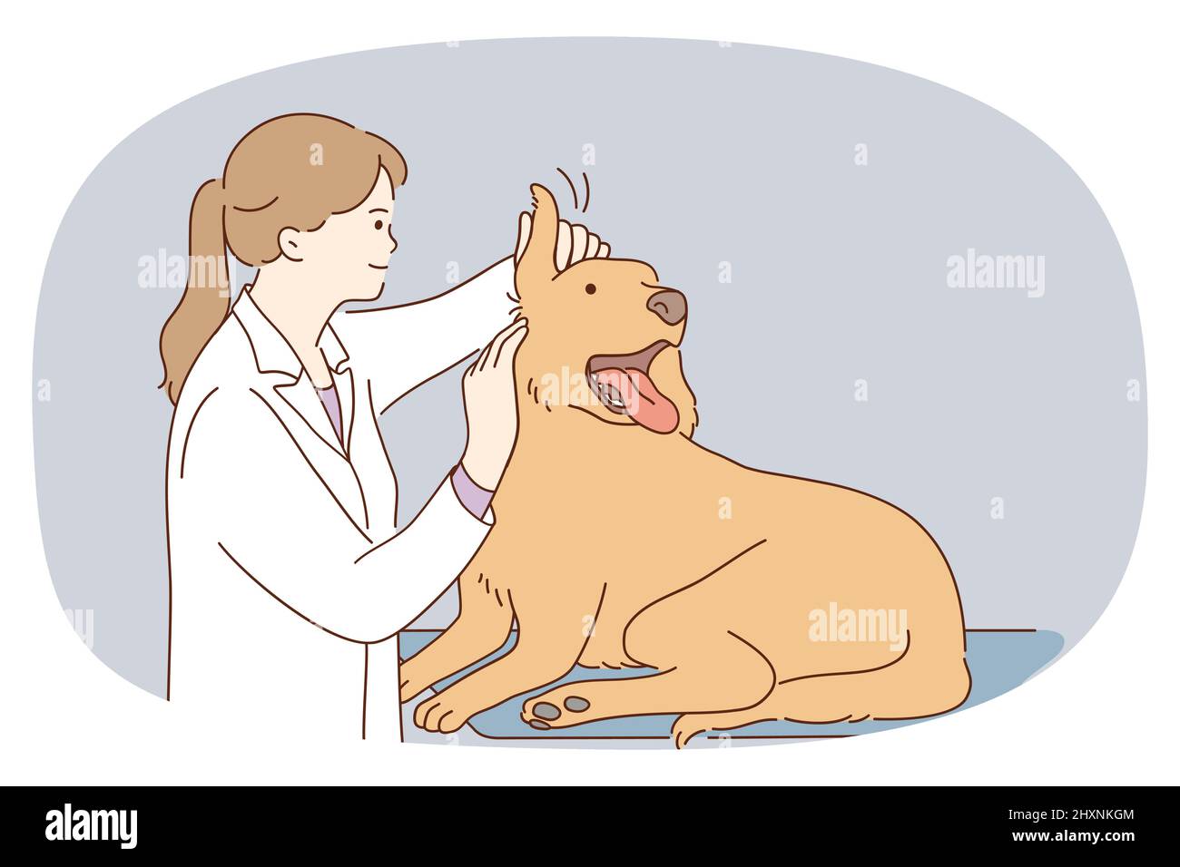 Une femme vétérinaire examine le chien dans une clinique ou à l'hôpital. Une infirmière vétérinaire soignante contrôle le gros chiot sur rendez-vous. Examen des animaux domestiques ou des animaux domestiques. Soins de santé. Illustration vectorielle. Illustration de Vecteur