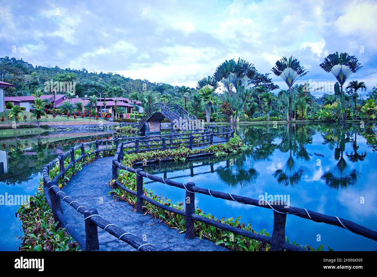 Hôtel avec de belles plantes tropicales reflétant dans l'eau Banque D'Images
