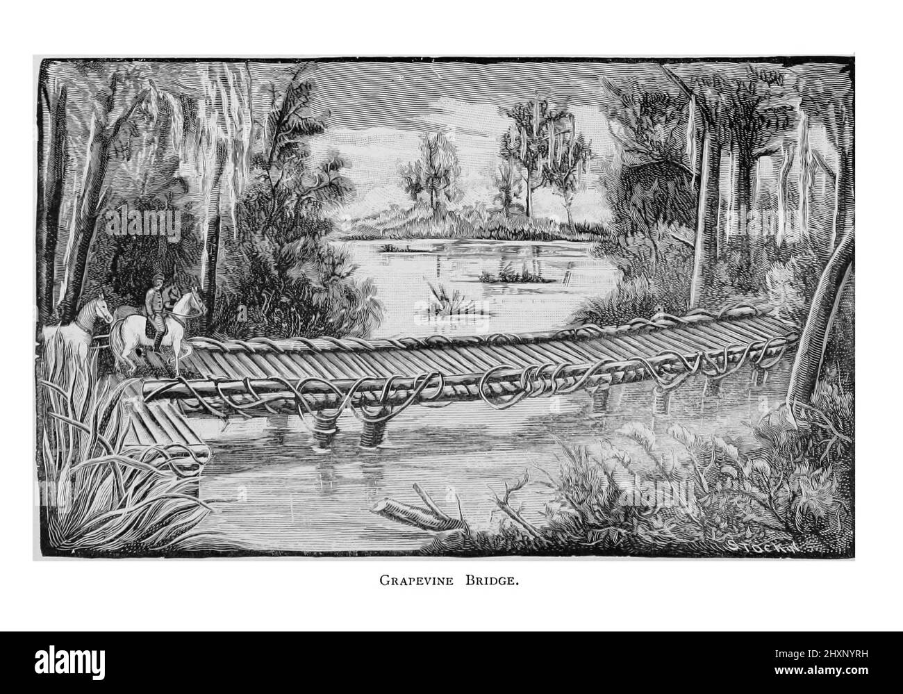 Grapevine Bridge de l'ouvrage « A history of the Fifth régiment, New Hampshire volontaires, in the American civil War, 1861-1865 » de William Child, publié en 1893 Banque D'Images Grapevine Bridge de l'ouvrage « A history of the Fifth régiment, New Hampshire volontaires, in the American civil War, 1861-1865 » de William Child, publié en 1893 Banque D'Images