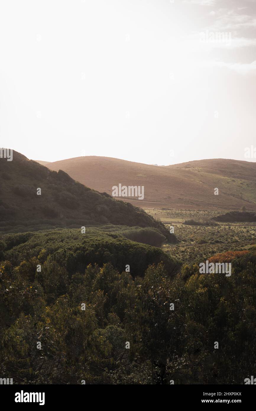 Forêts au coucher du soleil Banque D'Images