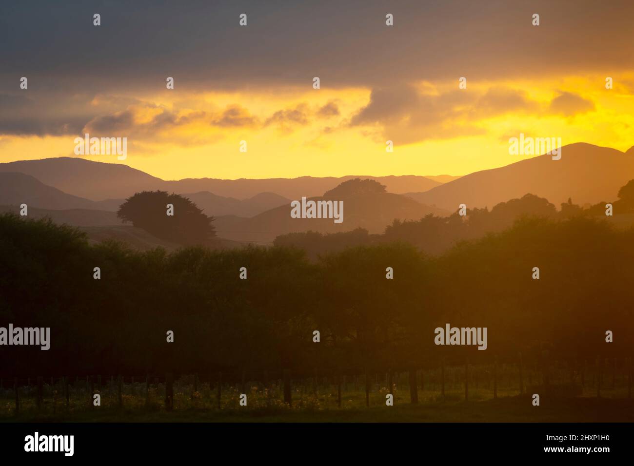 Près de Pahiatua, district de Tararua, Île du Nord, Nouvelle-Zélande Banque D'Images