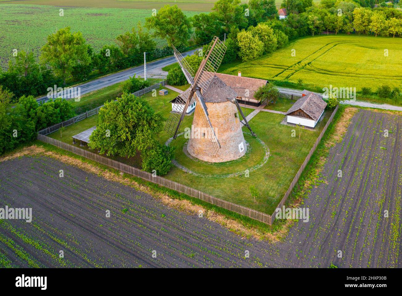 Moulin à vent traditionnel hongrois près de Hodmezovasarhely. Champ de canola à l'arrière-plan. Le nom hongrois est Papi-féle szélmalom. Banque D'Images
