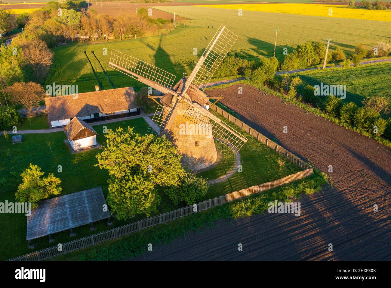 Moulin à vent traditionnel hongrois près de Hodmezovasarhely. Champ de canola à l'arrière-plan. Le nom hongrois est Papi-féle szélmalom. Banque D'Images