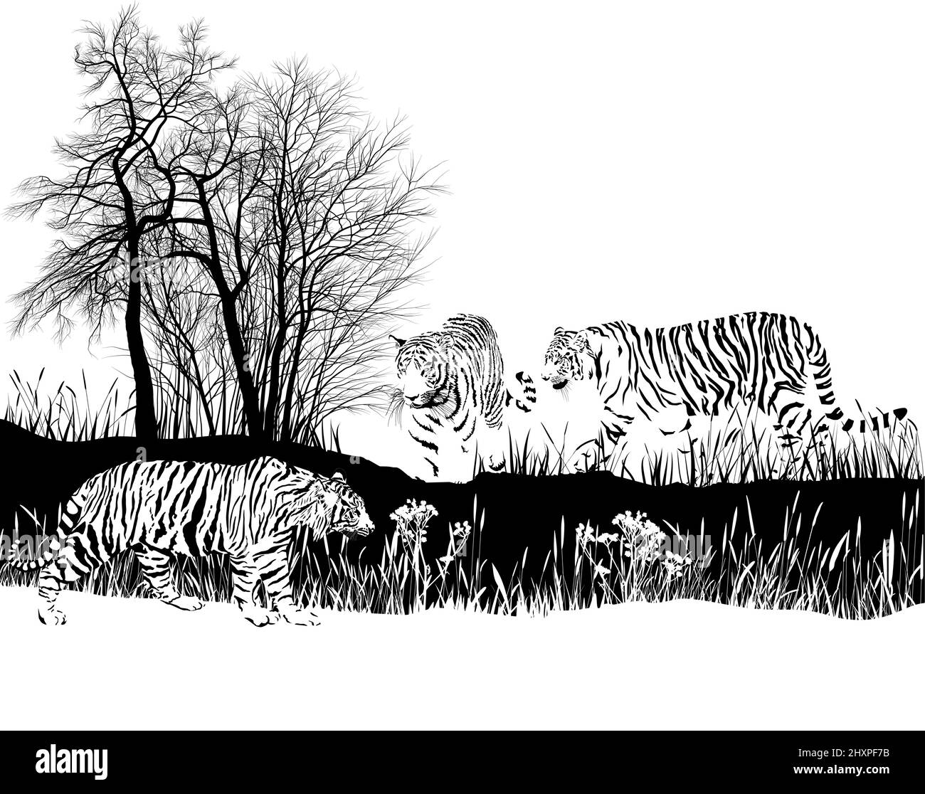 Trois tigres dans la nature Illustration de Vecteur