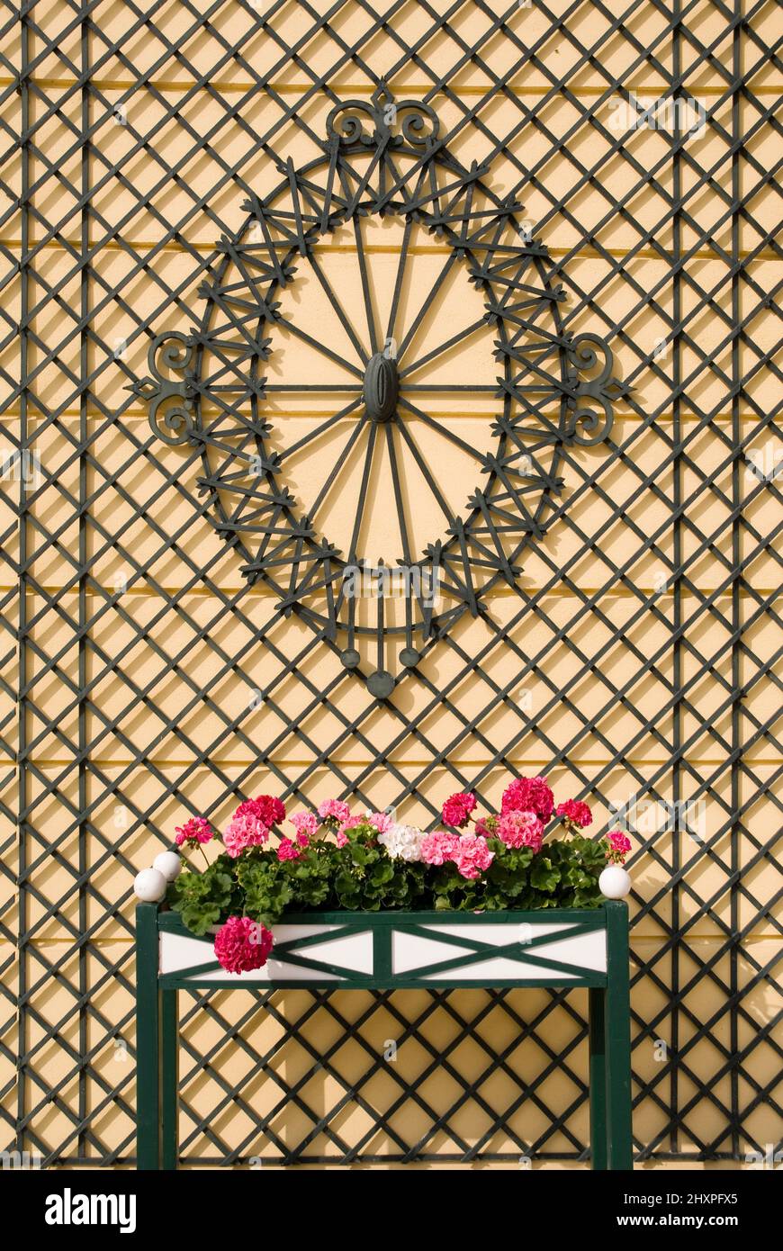 Treillis en bois de Biedermeier artful sur le mur jaune du château avec roses roses Banque D'Images