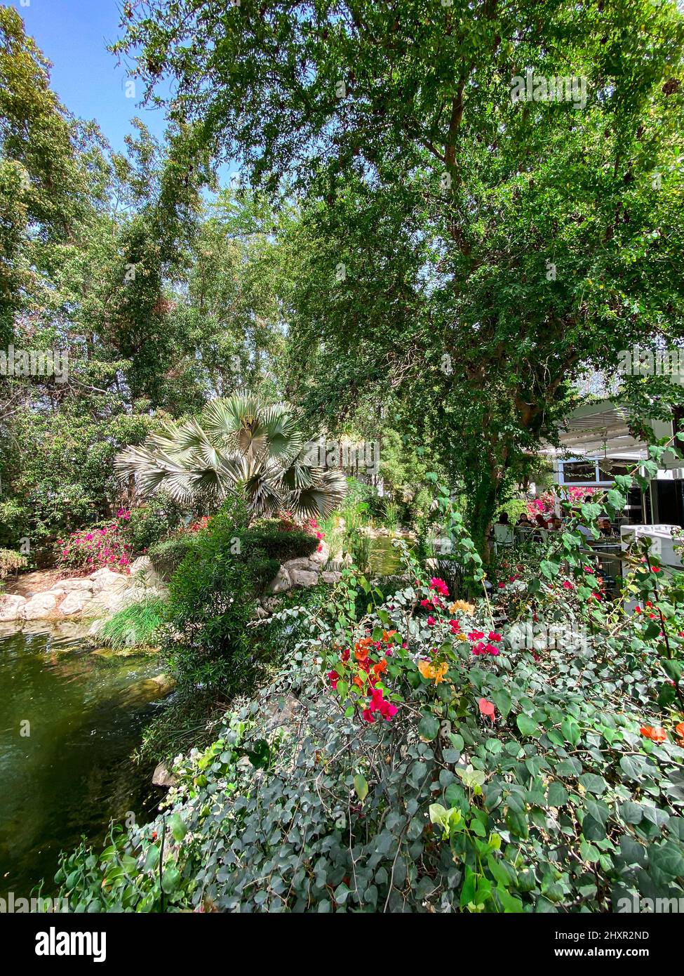 Restaurant The Farm, Dubaï Banque D'Images