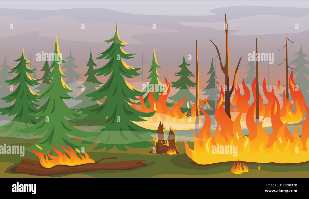 Incendie de forêt de dessins animés, arbres en feu, feu de forêt catastrophe naturelle. Effet du changement climatique ou du réchauffement de la planète, illustration du vecteur des flammes du feu de brousse. Catastrophe environnementale, paysage sauvage endommagé Illustration de Vecteur