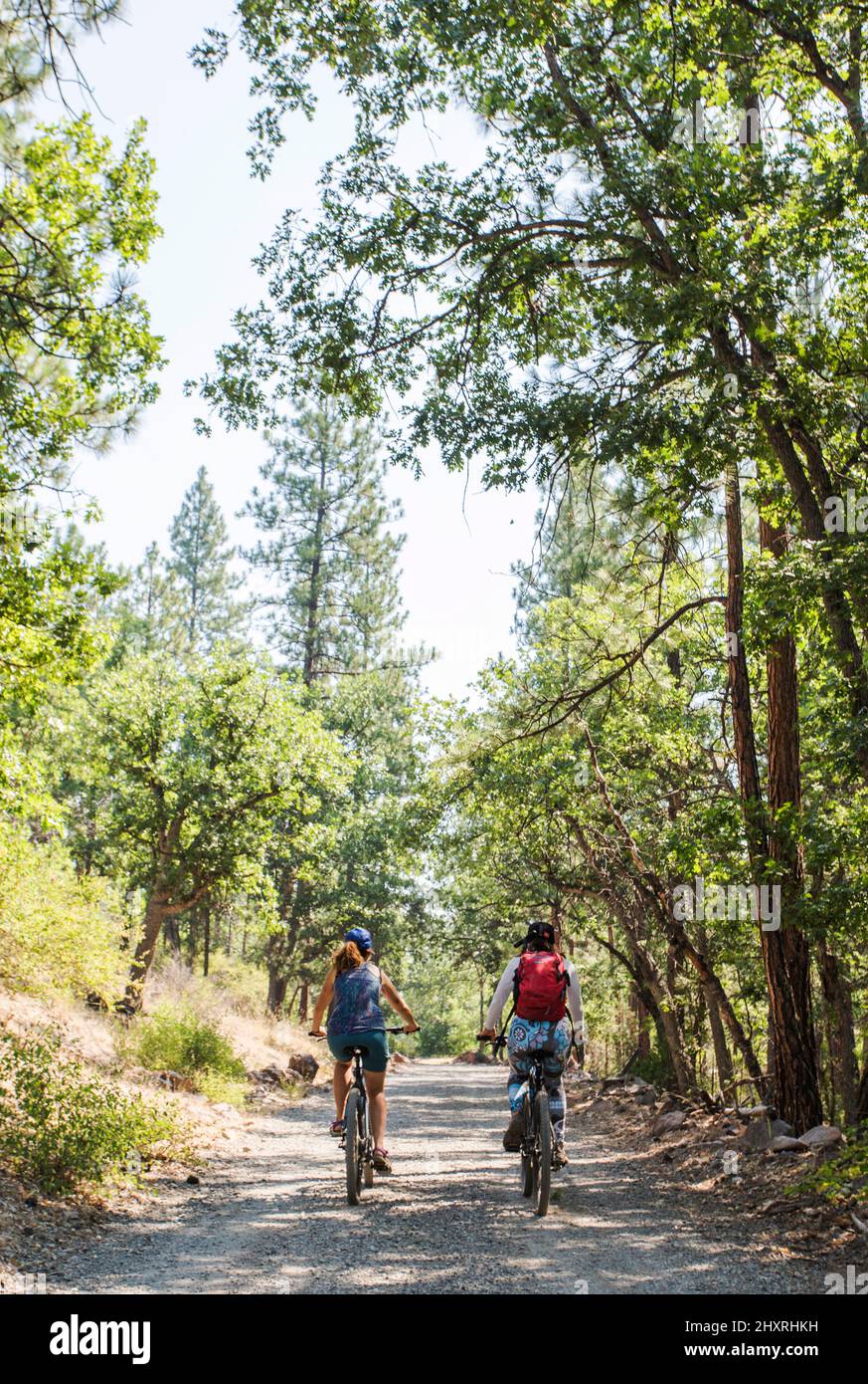 Deux femmes font du vélo sur la route de la terre dans la forêt Banque D'Images