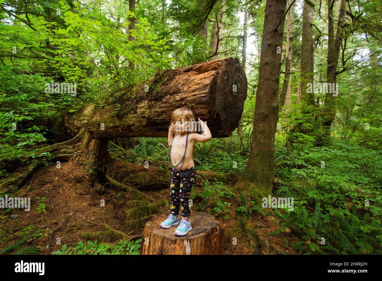 Une jeune fille se tient sur une souche sous un arbre tombé dans la forêt Banque D'Images